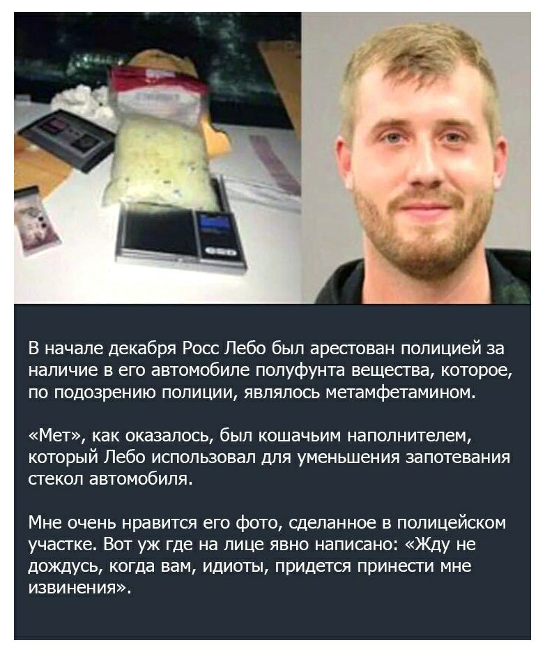 у у В начале декабря Росс Лебо был арестован полицией за наличие в его автомобиле полуфунта вещества, которое, по подозрению полиции, являлось метамфетамином. «Мет», как оказалось, был кошачьим наполн