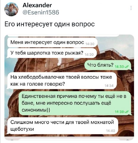 Alexander @Esenin1586 Его интересует один вопрос Меня интересует один вопрос У тебя шарлотка тоже рыжая? На хлебодобывалочке твоей волосы тоже как на голове говорю? Единственная причина почему ты ещё 