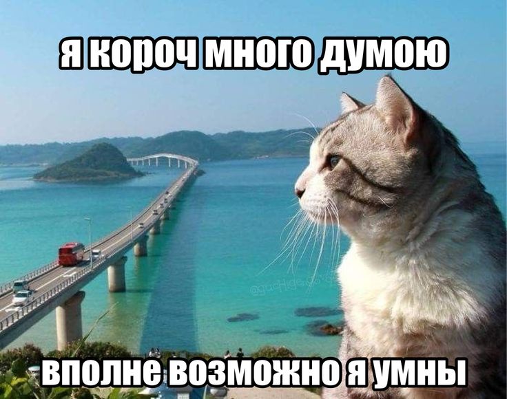 Я 7% вполневозможноя умны