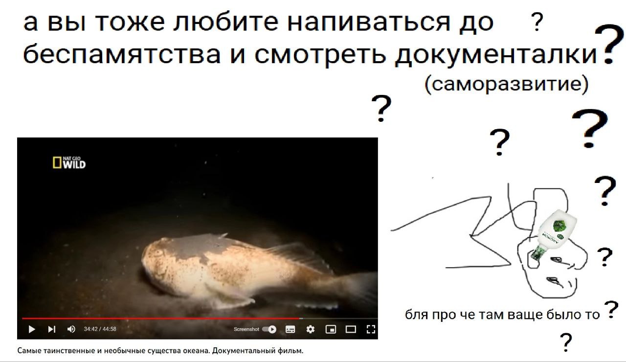 а вы тоже любите напиваться до беспамятства и смотреть документалк и. (саморазвитие) 2 бля про че там ваще было то но Screenshot Самые таинственные и нео бычные с ущества океана. Документальный фильм.
