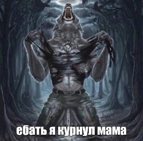 ебать я курнул мама
