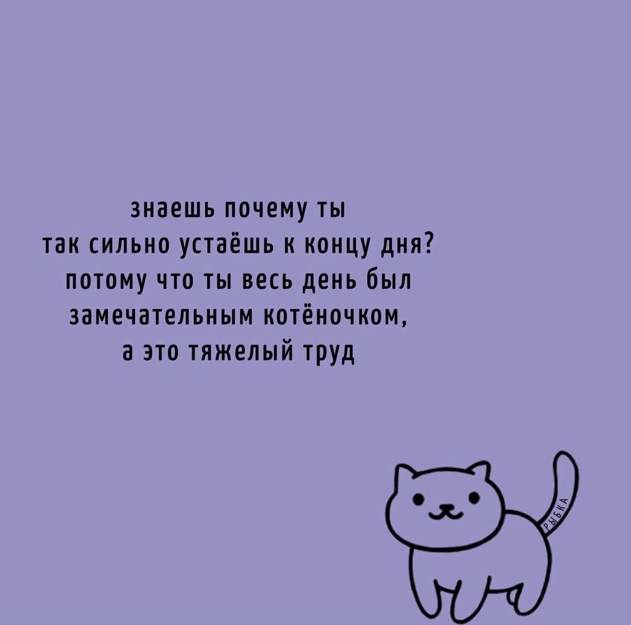 знаешь почему ты так сильно устаёшь к концу дня? потому что ты весь день был замечательным котёночком, а это тяжелый труд