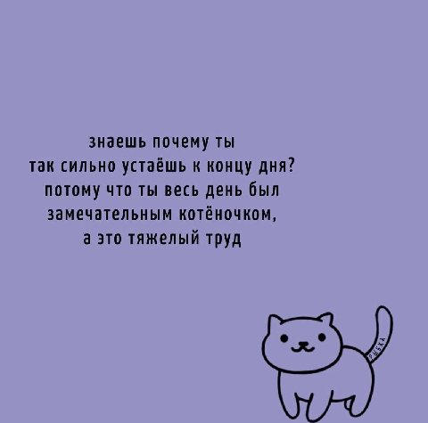знаешь почему ты так сильно устаёшь к концу дня? потому что ты весь день был замечательным котёночком, а это тяжелый труд