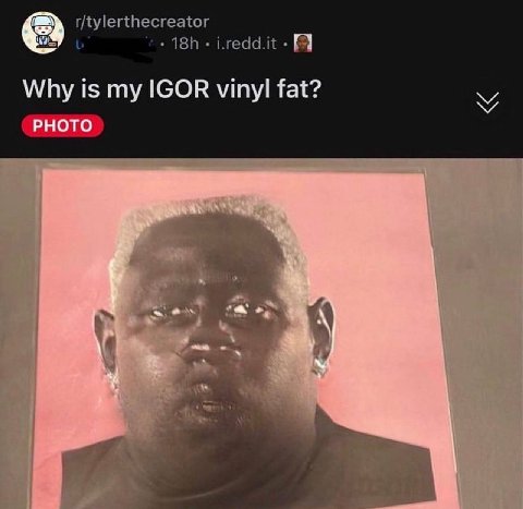 Why is my IGOR vinyl fat? PHOTO