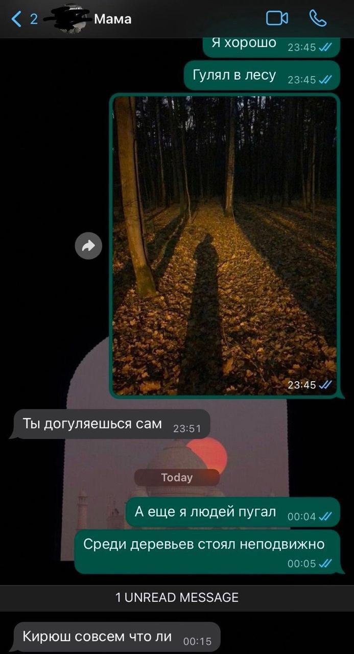 Мама Я хорошо Гулял в лесу 23:45 Ты догуляешься сам А еше я людей пугал Среди деревьев стоял неподвижно 1 UNREAD MESSAGE Кирюш совсем что ли