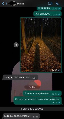 Мама Я хорошо Гулял в лесу 23:45 Ты догуляешься сам А еше я людей пугал Среди деревьев стоял неподвижно 1 UNREAD MESSAGE Кирюш совсем что ли