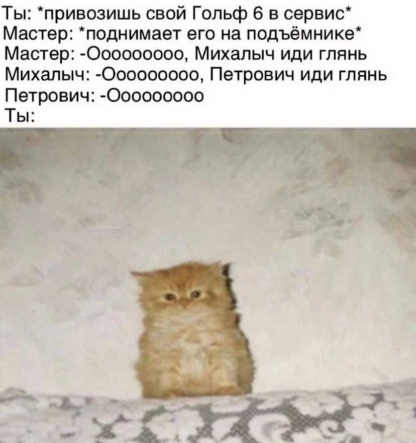 Ты: *привозишь свой Гольф 6 в сервис* Мастер: *поднимает его на подъёмнике* Мастер: Михалыч иди глянь Михалыч: Петрович иди глянь Петрович: Ты: 2 7 a