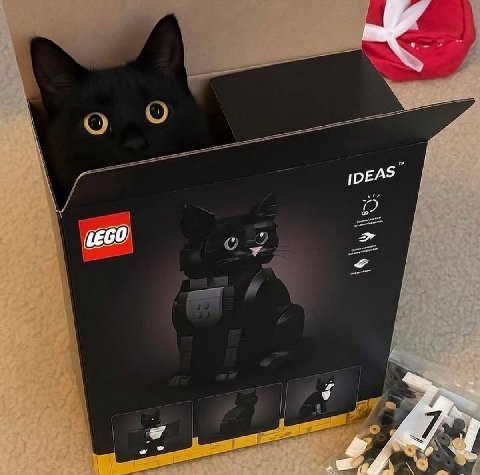 IDEAS