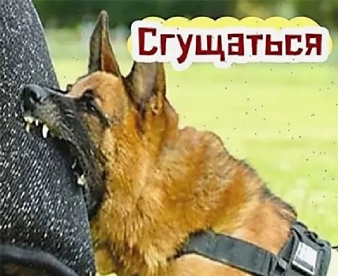 1 Сгущаться 4 из.