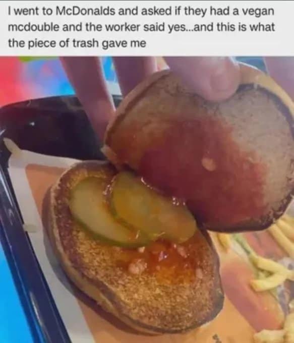 went to McDonalds and asked if they had a vegan mcdouble and the worker said yes...and this is what the piece of trash gave me