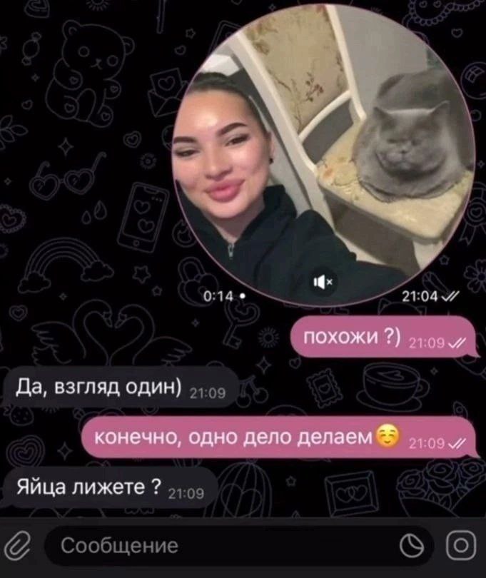 А похожи Да, взгляд один) конечно, одно дело делаем Яйца лижете