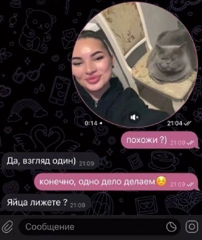 А похожи Да, взгляд один) конечно, одно дело делаем Яйца лижете