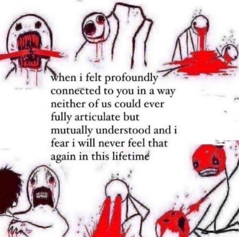 hen i felt profoundly connected to you in a way neither of could ever fully articulate but mutually understood and i fear i will never feel that again in this lifetimé