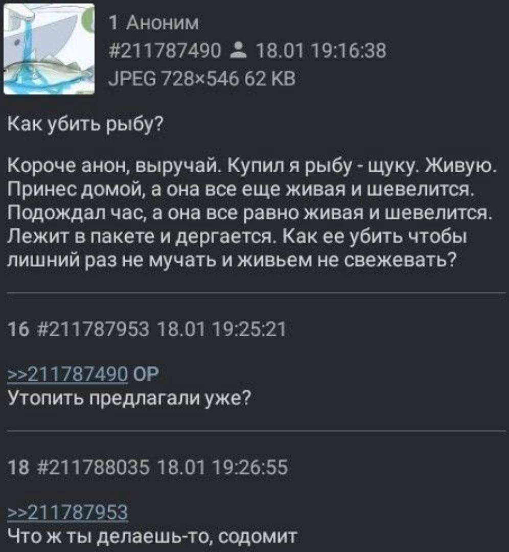 1 Аноним #211787490 18.01 19:16:38 62 Как убить рыбу? Короче анон, выручай. Купил я рыбу щуку. Живую. Принес домой, а она все еще живая и шевелится. Подождал час, а она все равно живая и шевелится. Ле