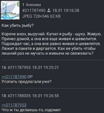1 Аноним #211787490 18.01 19:16:38 62 Как убить рыбу? Короче анон, выручай. Купил я рыбу щуку. Живую. Принес домой, а она все еще живая и шевелится. Подождал час, а она все равно живая и шевелится. Ле