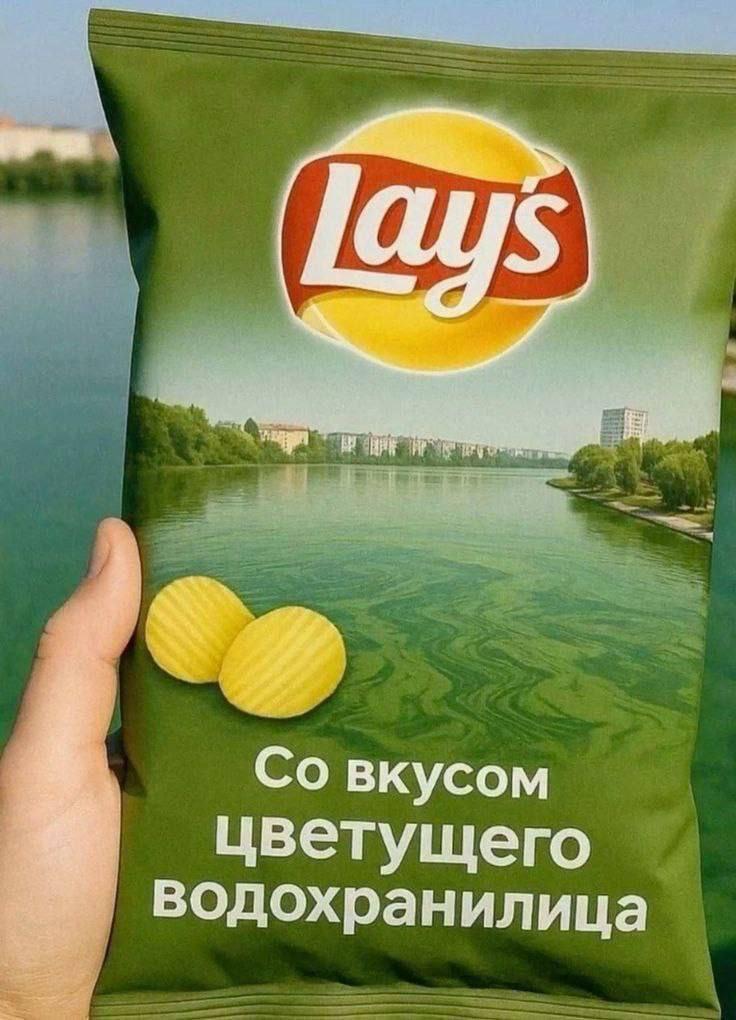 вкусом цветущего водохранилица