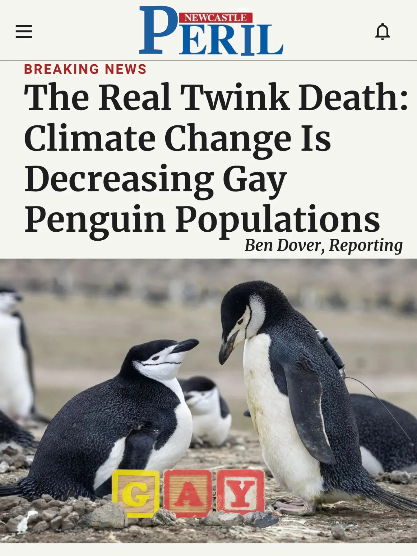 PERIL BREAKING NEWS The Real Twink Death: Climate Change Is Decreasing Gay Penguin Populations Ben Dover, Reporting
