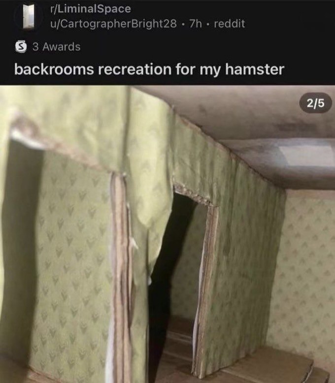 u/CartographerBright28 reddit 3 Awards backrooms recreation for my hamster 2/5 4