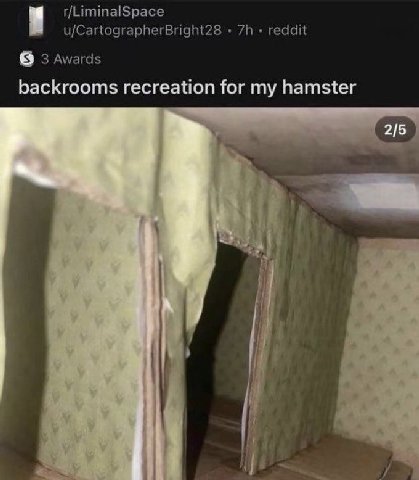 u/CartographerBright28 reddit 3 Awards backrooms recreation for my hamster 2/5 4