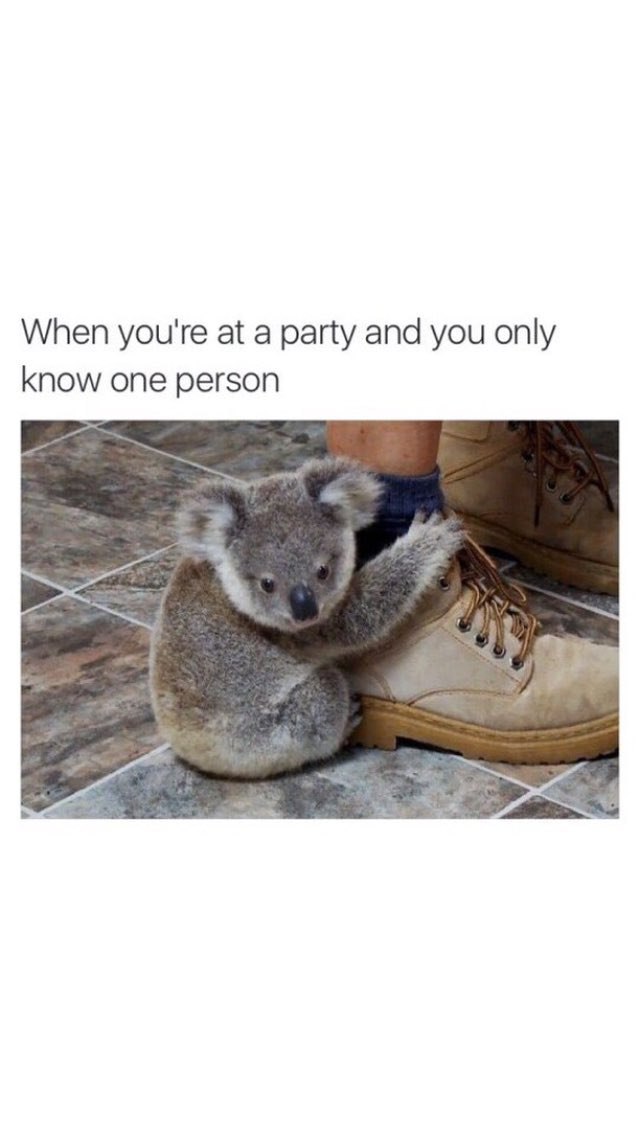 When you're at а party and you only know one person