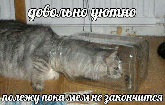 полеку не закончится