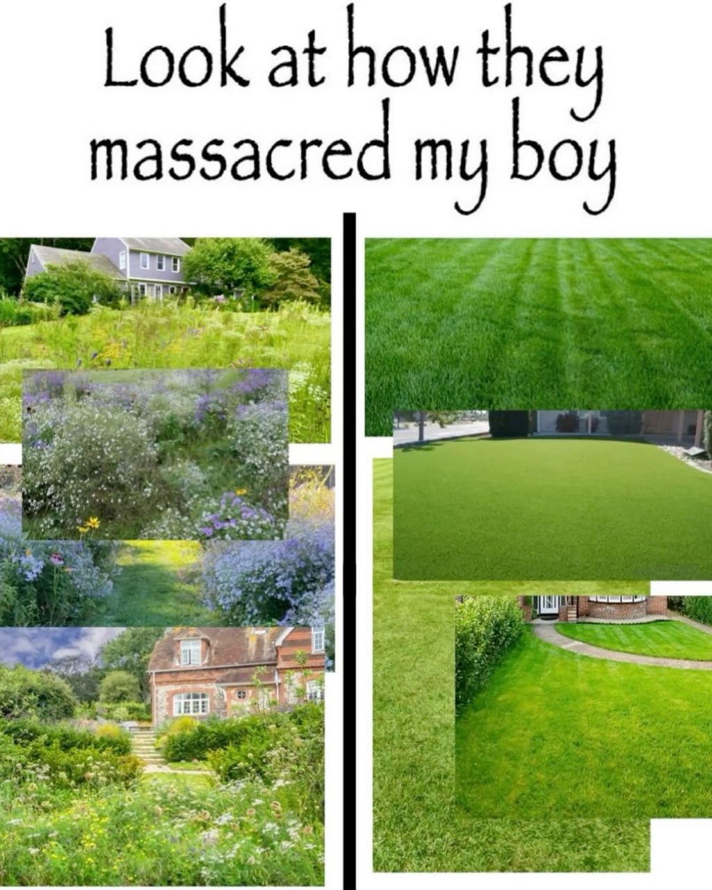 Look at how they massacred my boy