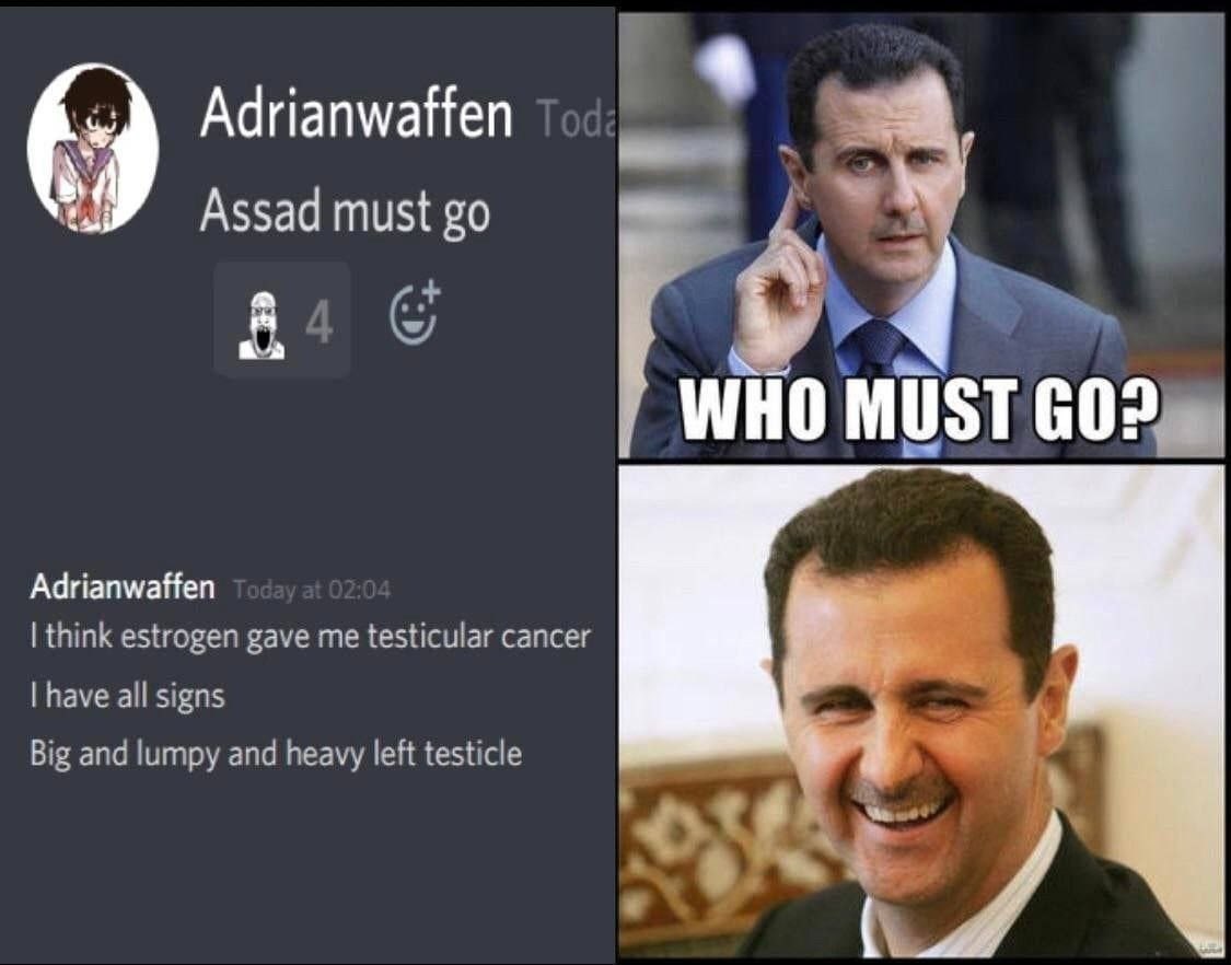 „А АдпапмаНеп у tay Assad must WHO MUST Adrianwaffen think estrogen gave me testicular cancer have all signs Big anc and heavy left