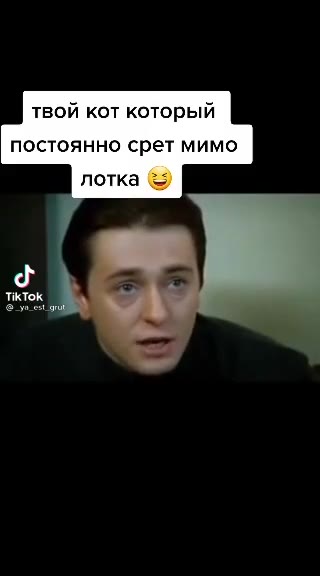 твой кот который постоянно срет мимо