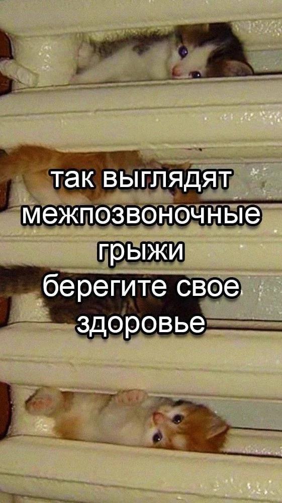 так выглядят межпозвоночные грыжи берегите свое. здоровье