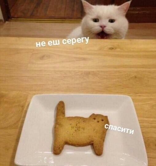нееш серегу wert
