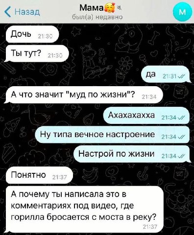 Назад был(а) недавно Ты тут? А что значит "муд по жизни"? Ахахахахха 21:34 7 Ну типа вечное настроение 21:34 Настрой по жизни 21:34 A А почему ты написала это в комментариях под видео, где горилла бро