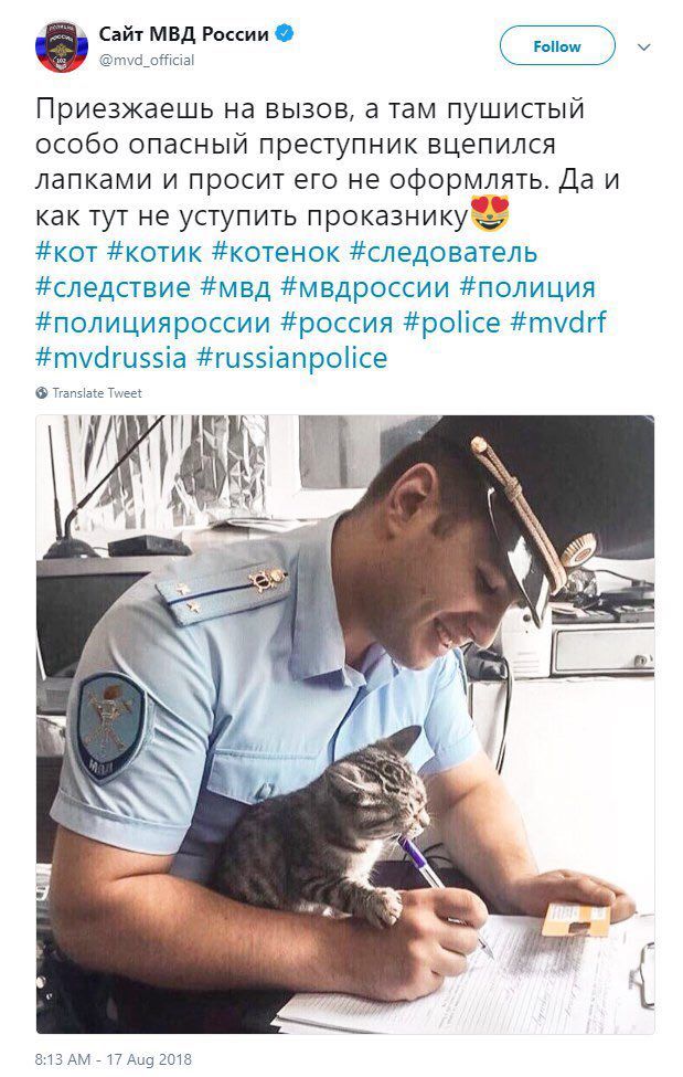Сайт МВД России @mvd_official У Приезжаешь на вызов, а там пушистый особо опасный преступник вцепился лапками и просит его не оформлять. Да и как тут не уступить #кот #котик #котенок #следователь #сле