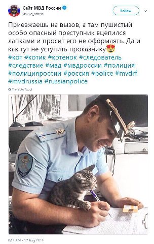 Сайт МВД России @mvd_official У Приезжаешь на вызов, а там пушистый особо опасный преступник вцепился лапками и просит его не оформлять. Да и как тут не уступить #кот #котик #котенок #следователь #сле