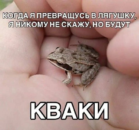 К КОГДА Я ПРЕВРАЩУСЬ В ЛЯГУШКУ, я НИКОМУ НЕ СКАЖУ, НО БУДУТ, КВАКИ
