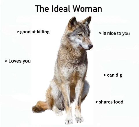 The Ideal Woman good at killing is nice to you Loves you 3 сап dig shares food