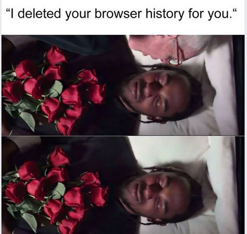 deleted your browser history for you.“