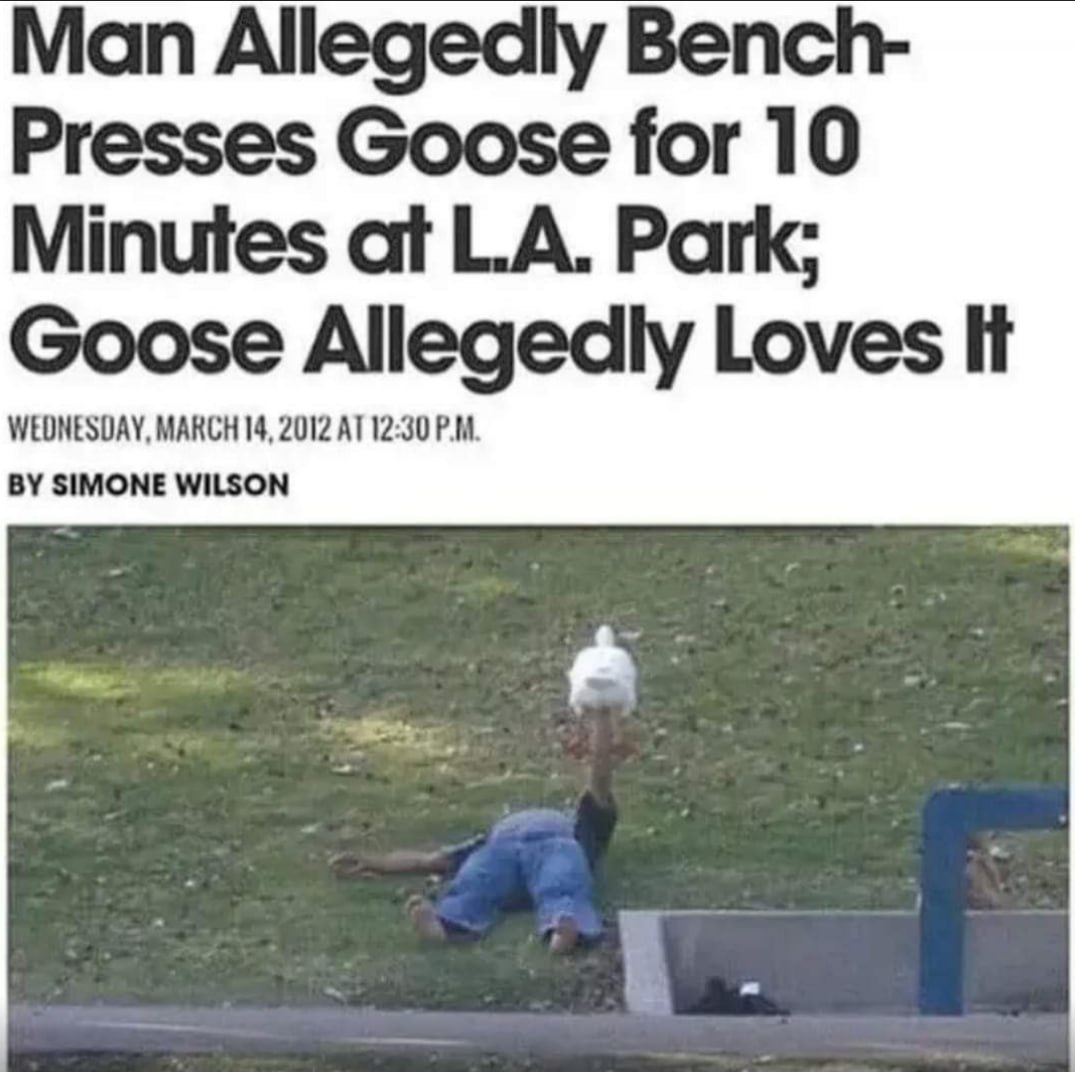 мы не мы