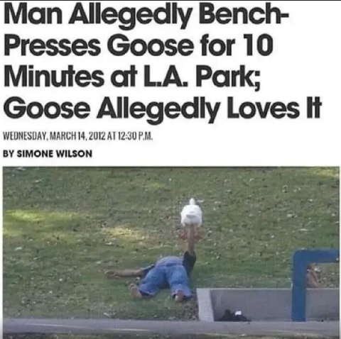 мы не мы