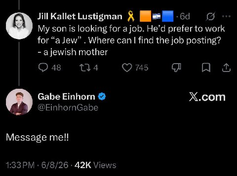 ЛИ Kallet Lustigman (5 son is looking for a job. He’d prefer to work for Where can find the job posting? ajewish mother 48 745 Gabe Einhorn Х.сот A У @EinhornGabe Message 1:33 6/8/26 Views