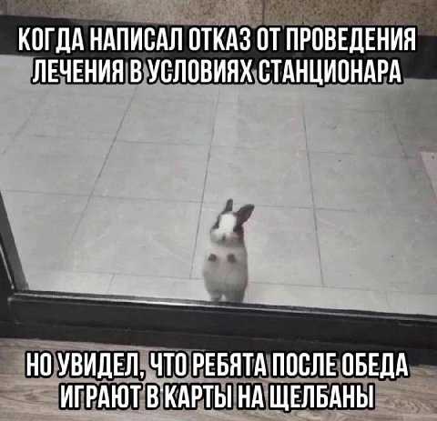 КОГДА НАПИСАЛ ОТКАЗ ОТ ПРОВЕДЕНИЯ ЛЕЧЕНИЯ В УСЛОВИЯХ СТАНЦИОНАРА НО УВИДЕЛ, ЧТО РЕБЯТА ПОСЛЕ ОБЕДА ИГРАЮТ НА ЩЕЛБАНЫ