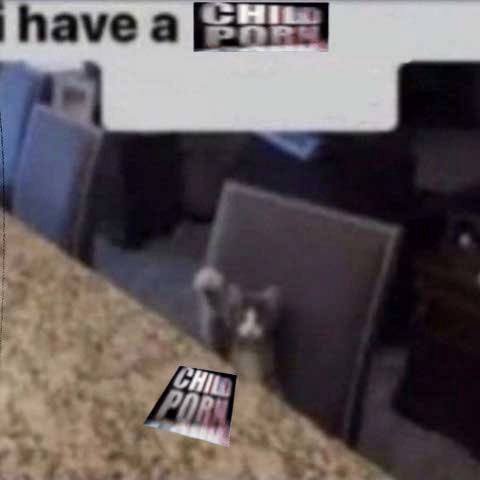 have a