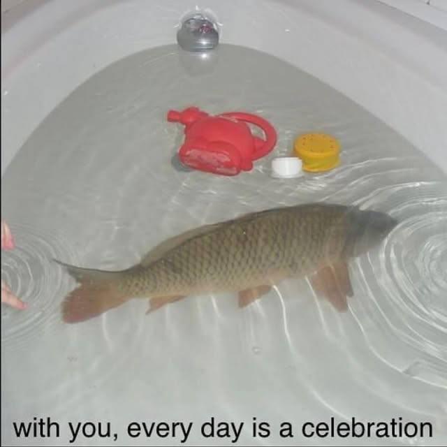 with you, every day is a celebration