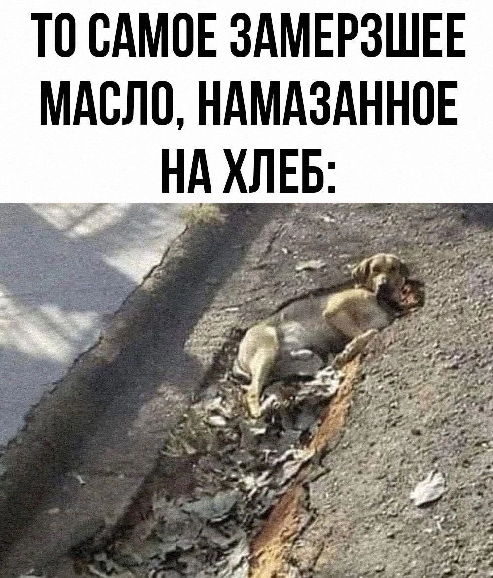 ТО САМОЕ ЗАМЕРЗШЕЕ МАСЛО, НАМАЗАННОЕ НА ХЛЕ и