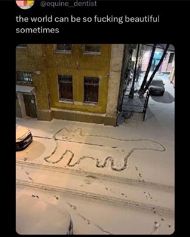 @equine_dentist the world can be so fucking beautiful sometimes И