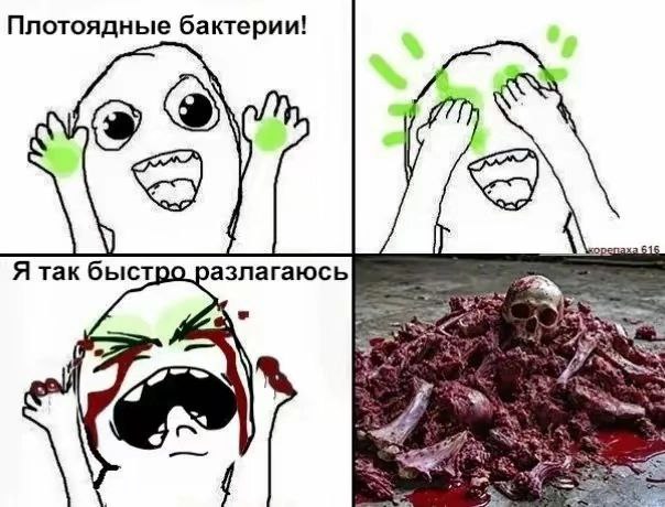 Плотоядные бактерии! Я так быст азлагаюсь