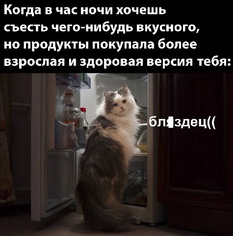 Когда в час ночи хочешь съесть чего-нибудь вкусного, но продукты покупала более взрослая и здоровая версия тебя: _блЯздец((