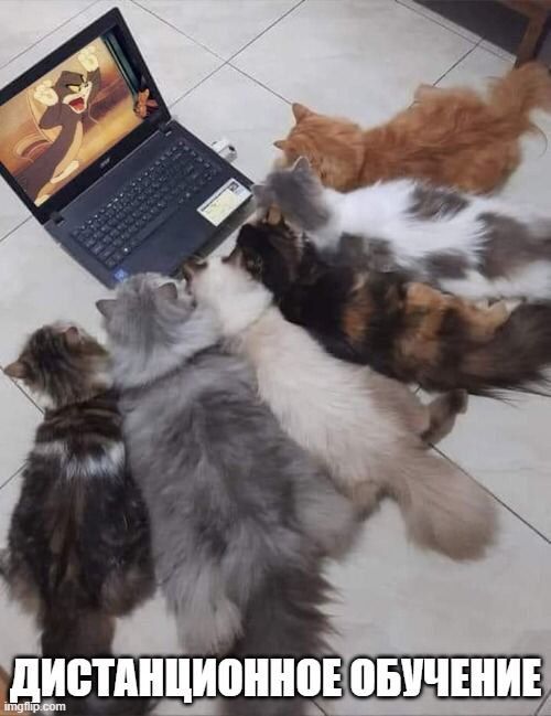 ДИСТАНЦИОННОЕ ОБУЧЕНИЕ