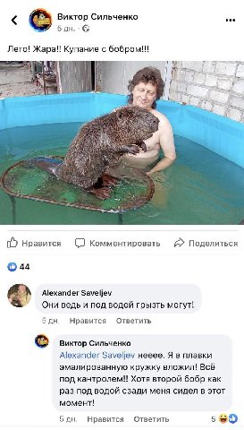 Виктор Сильченко Лето! Жара!! Купание с бобром!! a| 7 i Nes 1 у у Ж Нравится Комментировать Поделиться 44 Alexander Saveljev Они ведь и под водой грызть могут! 5 Нравится Ответить Виктор Сильченко Ale