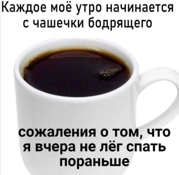 Каждое мое утро начинается с чашечки бодрящего сожаления о том, что я вчера не лег спать пораньше