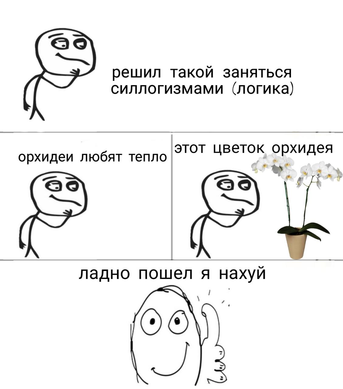 решил такой заняться силлогизмами (логика) орхидеи любят тепло этот цветок, орхидея ладно пошел я нахуй 69